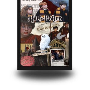 Harry Potter The Boy Who Lived