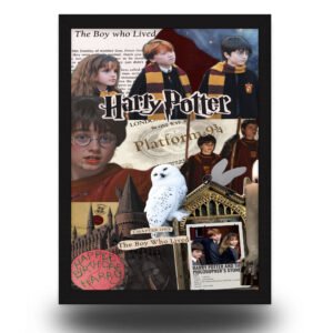Harry Potter The Boy Who Lived