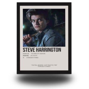 Steve Harrington The Kind Of Hawkins